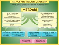 Стенд "Методы селекции и биотехнологии" - fgospostavki.ru - Выкса