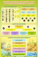 Стенд "Классификация животного мира" - fgospostavki.ru - Выкса