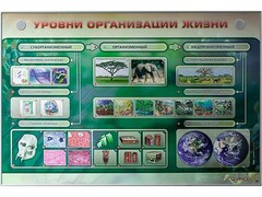 Электрифицированный стенд "Уровни организации жизни" - fgospostavki.ru - Выкса