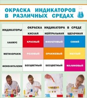 Стенд "Окраска индикаторов в различных средах" - fgospostavki.ru - Выкса