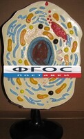 Модель "Клетка животного" - fgospostavki.ru - Выкса