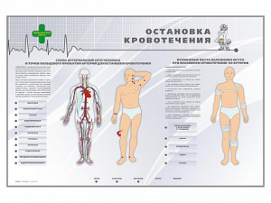 Электрифицированный стенд "Остановка кровотечения" - fgospostavki.ru - Выкса