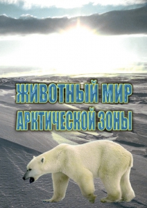 DVD "Животный мир Арктической зоны" - fgospostavki.ru - Выкса