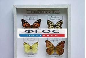 Коллекция "Семейство бабочек" - fgospostavki.ru - Выкса
