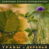 Растения средней полосы России "Травы и Деревья". (Цифровые атласы-определители) - fgospostavki.ru - Выкса