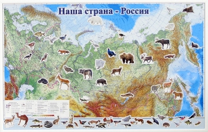 Магнитные карточки "Животные" - fgospostavki.ru - Выкса