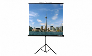Проекционный экран на штативе Lumien Eco View (LEV-100105) 160x160 см - fgospostavki.ru - Выкса