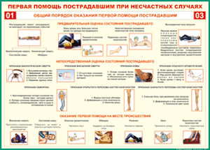Таблица "Общий порядок оказания первой помощи пострадавшим" (100х140 сантиметров, винил) - fgospostavki.ru - Выкса