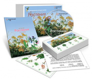 Комбинированное наглядное пособие «Растения» - fgospostavki.ru - Выкса