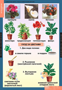 Комплект таблиц. Окружающий мир 1 класс. - fgospostavki.ru - Выкса