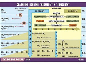 Таблица демонстрационная "Сравнение понятий изомер и гомолог" (винил 70x100) - fgospostavki.ru - Выкса