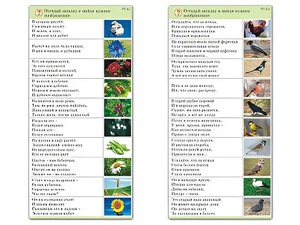 Комплект карточек (10) "Обучающий калейдоскоп. Природа" - fgospostavki.ru - Выкса