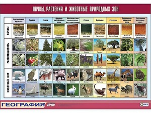 Таблица демонстрационная "Почвы, растения и животные природных зон" (винил 70*100) - fgospostavki.ru - Выкса