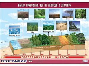 Таблица демонстрационная "Смена природных зон от полюсов к экватору" (винил 100*140) - fgospostavki.ru - Выкса