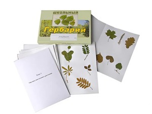 Гербарий "Морфология растений" (6 тем, 30 видов) - fgospostavki.ru - Выкса