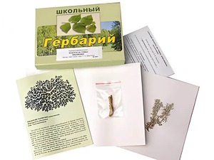Гербарий "Водоросли. Грибы. Лишайники" (раздаточный) - fgospostavki.ru - Выкса