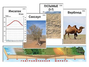 Модель-аппликация "Природные зоны" - fgospostavki.ru - Выкса