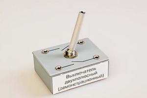 Выключатель двухполюсный (демонстрационный) - fgospostavki.ru - Выкса