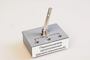 Переключатель однополюсный (демонстрационный) - fgospostavki.ru - Выкса