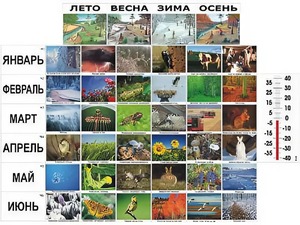 Фенологические наблюдения - fgospostavki.ru - Выкса