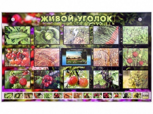 Комплект оборудования "Живой уголок" (растения) с тифлопереводом и сурдокомментариями - fgospostavki.ru - Выкса