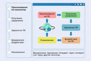 Интерактивные курсы. Информатика 10 класс . Базовый. - fgospostavki.ru - Выкса