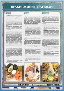 Стенд "Белки. Жиры. Углеводы" - fgospostavki.ru - Выкса