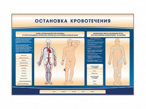 Электрифицированный стенд-тренажер "Остановка кровотечения" - fgospostavki.ru - Выкса
