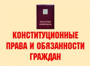 Комплект плакатов "Конституционные права и обязанности граждан" - fgospostavki.ru - Выкса