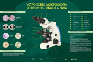 Электрифицированный стенд "Устройство микроскопа и правила работы c ним" - fgospostavki.ru - Выкса