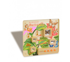 Панель «Жизненный цикл бабочки» - fgospostavki.ru - Выкса