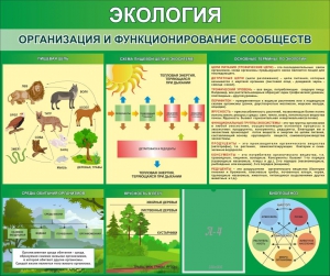 Стенд "Экология. Организация и функционирование сообществ" - fgospostavki.ru - Выкса