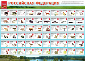 Стенд "Красная книга РФ" - fgospostavki.ru - Выкса