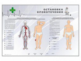 Электрифицированный стенд "Остановка кровотечения" - fgospostavki.ru - Выкса