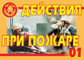 Комплект плакатов "Действия при пожаре" - fgospostavki.ru - Выкса