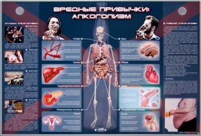 Электрифицированный стенд "Вредные привычки: алкоголизм" - fgospostavki.ru - Выкса