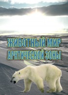 DVD "Животный мир Арктической зоны" - fgospostavki.ru - Выкса