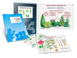 Комплект кодотранспарантов "Культурные растения" - fgospostavki.ru - Выкса