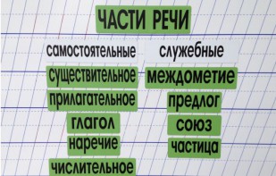 Набор магнитных карточек "Части речи" (фон зелёный) - fgospostavki.ru - Выкса