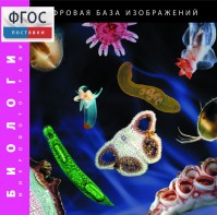 Биология. Микрофотографии. (Цифровая база изображений) - fgospostavki.ru - Выкса