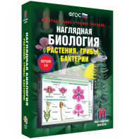 Наглядная биология. 6 класс. Растения. Грибы. Бактерии - fgospostavki.ru - Выкса
