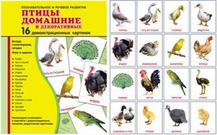 Демонстрационные карточки "Птицы домашние и декоративные" - fgospostavki.ru - Выкса
