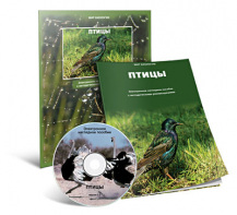 Электронное наглядное пособие «Птицы» - fgospostavki.ru - Выкса
