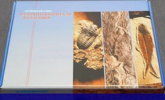 Коллекция "Палеонтологическая" (16 образцов) - fgospostavki.ru - Выкса