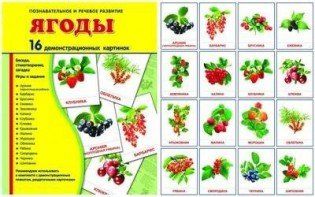 Демонстрационные карточки "Ягоды" - fgospostavki.ru - Выкса