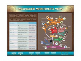 Интерактивный электрифицированный стенд "Эволюция животного мира" - fgospostavki.ru - Выкса