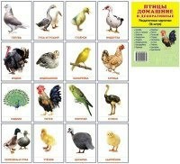 Раздаточные карточки "Птицы домашние и декоративные" - fgospostavki.ru - Выкса