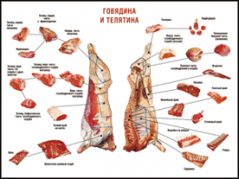 Таблица "Правила разделки мясных туш. Говядина и телятина" (100х140 сантиметров, винил) - fgospostavki.ru - Выкса