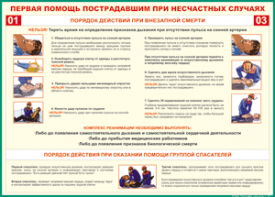 Таблица "Порядок действий при внезапной смерти" (100х140 сантиметров, винил) - fgospostavki.ru - Выкса