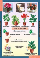 Комплект таблиц. Окружающий мир 1 класс. - fgospostavki.ru - Выкса